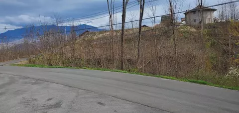 Lot 184 Cliff Branch Rd, Gatlinburg, TN 37738
