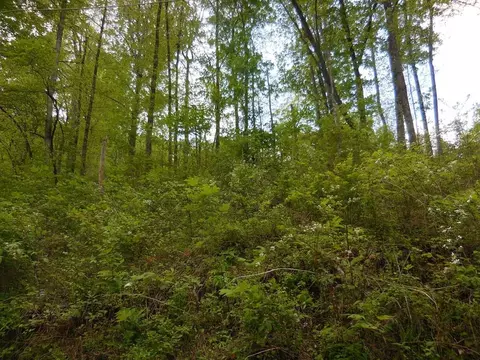 lot12 Lonesome Pine Way, Sevierville, TN 37862