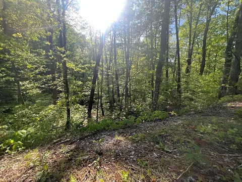 Monte Wood, Pigeon Forge, TN 37863