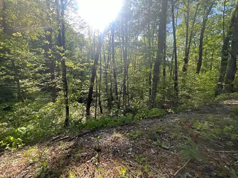 Monte Wood, Pigeon Forge, TN 37863
