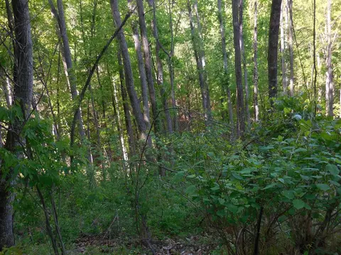 Lot 40 Whippoorwill Hill Way, Sevierville, TN 37862