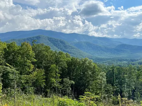 Tr 1 Liberty Road, Cosby, TN 37722