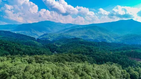 16 34 Ac Green Corner Rd, Hartford, TN 37753