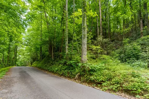 lot8 Zurich Rd, Gatlinburg, TN 37738