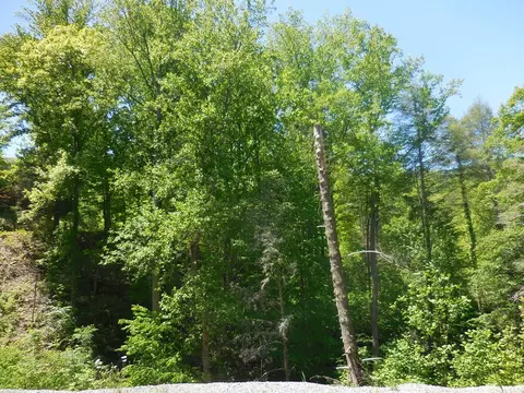 lot53 Little Cove Rd, Sevierville, TN 37862