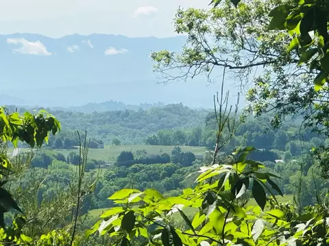 Mountain Grove Lane, Seymour, TN 37865
