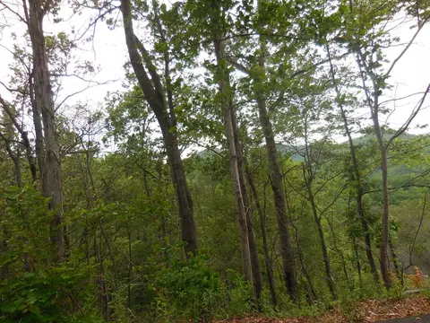 Lot 6 Sugar Maple Loop Rd, Sevierville, TN 37862