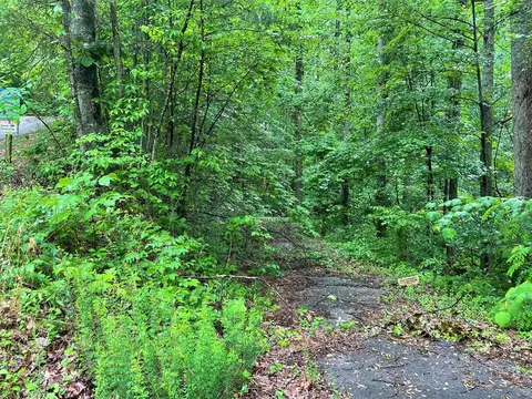 Lot 8 Burning Tree Lane, Sevierville, TN 37862