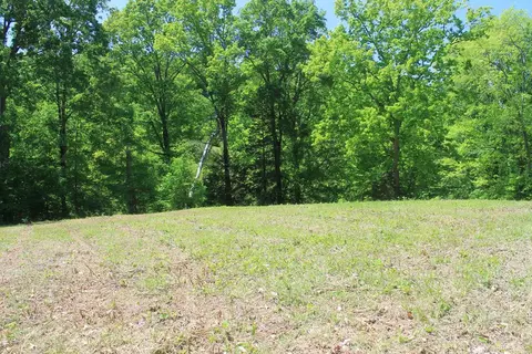 Rhodes Rd, New Market, TN 37725