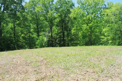 Rhodes Road, New Market, TN 37725