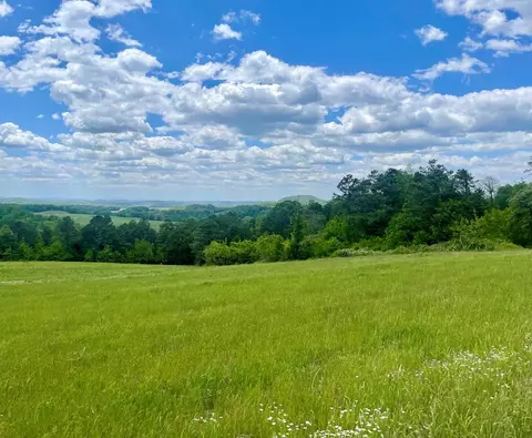 Clark Road, Rutledge, TN 37861