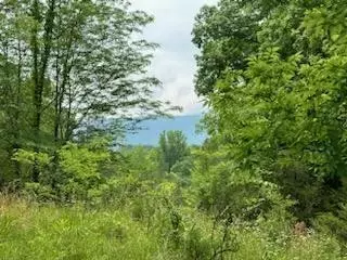 Stanton Road, Seymour, TN 37865
