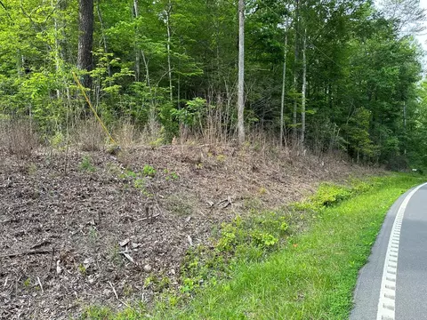 S Hwy 32, Cosby, TN 37722