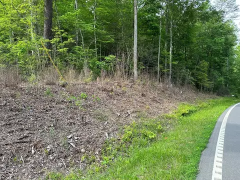 Hwy 32, Cosby, TN 37722