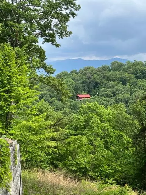 Lot 16 Lower Alpine Way, Gatlinburg, TN 37738
