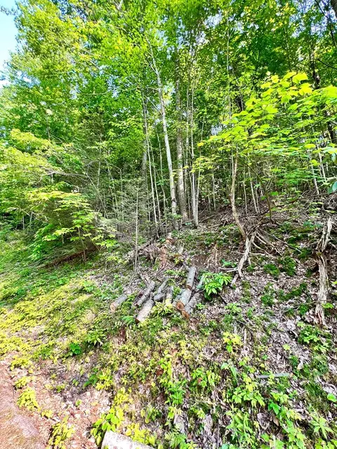 Rhododendron Ln, Sevierville, TN 37876