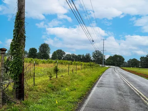 Tarr Road, Talbott, TN 37877 photo 15