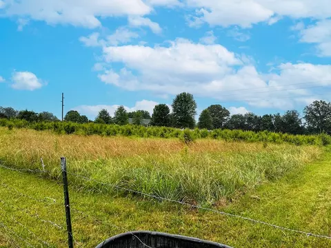 Tarr Road, Talbott, TN 37877 photo 8