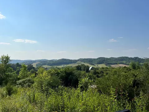 Hwy 321, Parrotsville, TN 37843