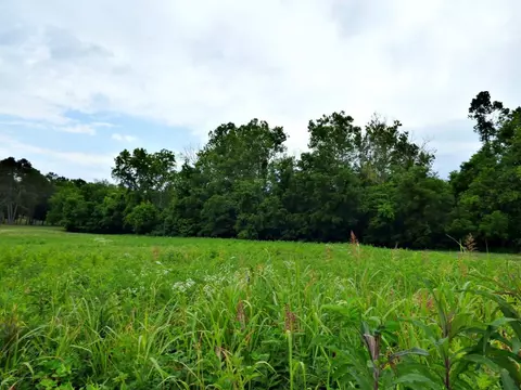 Lot 35 Smokey Meadows Dr, Dandridge, TN 37725