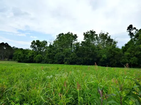 Lot 35 Smokey Meadows Drive, Dandridge, TN 37725