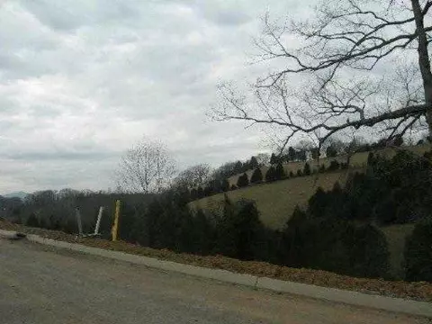 Lot 20 Ally Ln, Sevierville, TN 37862