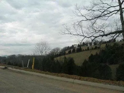 lot20 Ally Ln, Sevierville, TN 37862