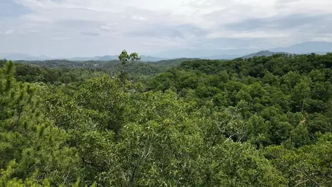 lot110 Bluff Ridge Rd, Sevierville, TN 37876