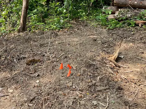 2575 Windfall Ests, Sevierville, TN 37876 photo 9
