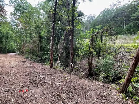 2575 Windfall Ests, Sevierville, TN 37876 photo 22