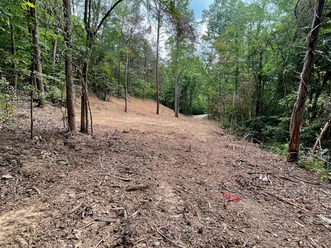2575 Windfall Ests, Sevierville, TN 37876 photo 8