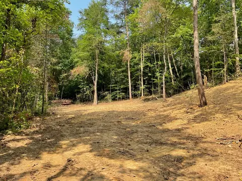 2575 Windfall Ests, Sevierville, TN 37876 photo 30