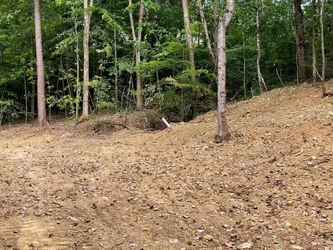 2575 Windfall Ests, Sevierville, TN 37876 photo 24