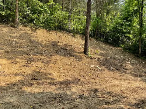 2575 Windfall Ests, Sevierville, TN 37876 photo 29