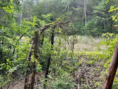 2575 Windfall Ests, Sevierville, TN 37876 photo 25