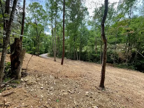 2575 Windfall Ests, Sevierville, TN 37876 photo 14