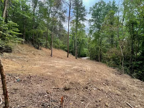 2575 Windfall Ests, Sevierville, TN 37876 photo 15