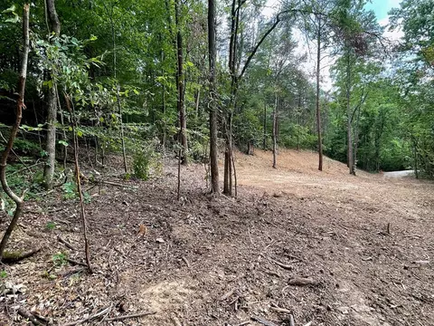 2575 Windfall Ests, Sevierville, TN 37876 photo 21