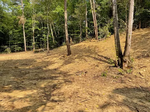 2575 Windfall Ests, Sevierville, TN 37876 photo 28