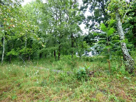 Lot 37 Stonehenge Way, Dandridge, TN 37725