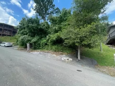 151 Holly Ridge Rd, Gatlinburg, TN 37738