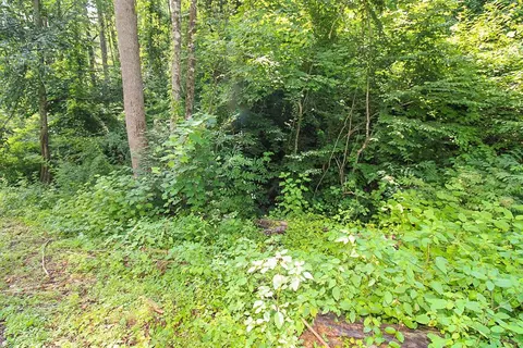 537 Deep Hollow Road, Gatlinburg, TN 37738