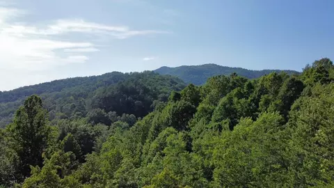 lot8 Little Round Top Ln, Townsend, TN 37882