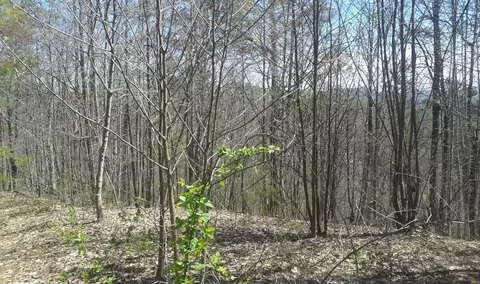 Little Cove Rd Off, Sevierville, TN 37862