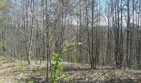 Little Cove Road, Sevierville, TN 37862