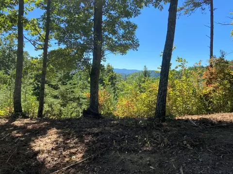 Longhunter, Sevierville, TN 37862