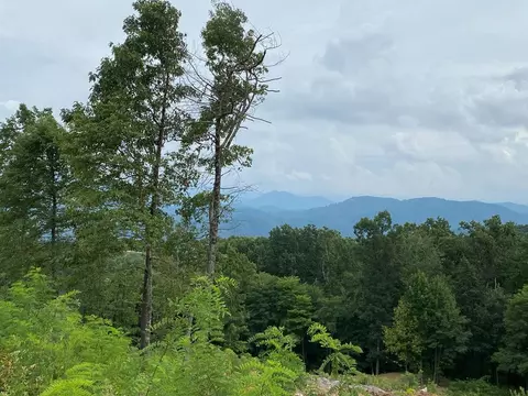 164 Reedschoolhouse, Sevierville, TN 37862