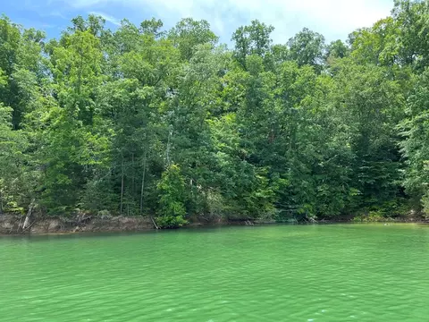 Par 045 Slover Springs, Dandridge, TN 37725