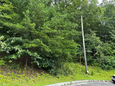 Alvins Ridge, Sevierville, TN 37862