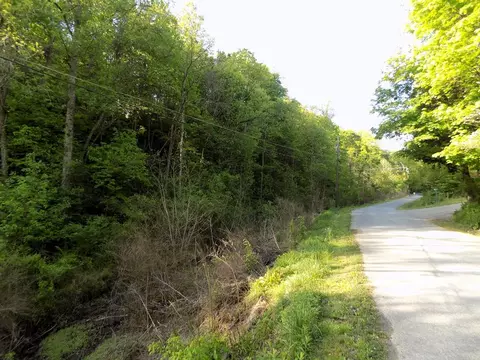 Par 023.01 Driftwood Road, Cosby, TN 37722